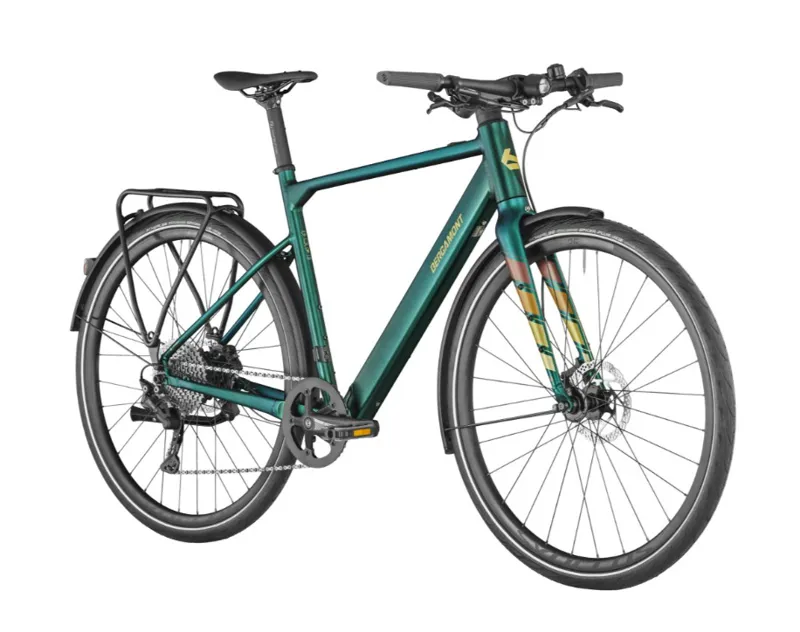 Bergamont E-Sweep Tour