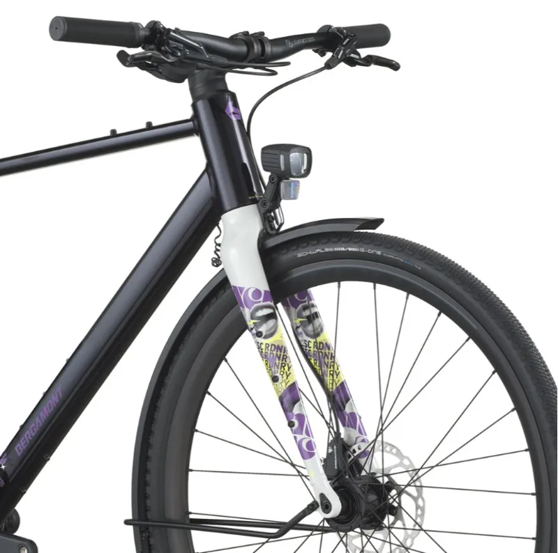 Bergamont Grandurance FB 10 EQ in black/purple-3