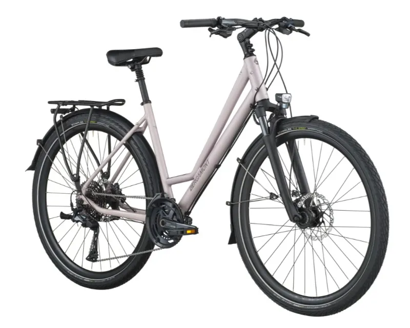 Bergamont Vitess 10 Amsterdam in Purple and Silver