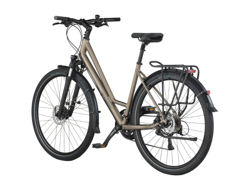 Bergamont Vitess 50 Amsterdam in Warm Silver-1