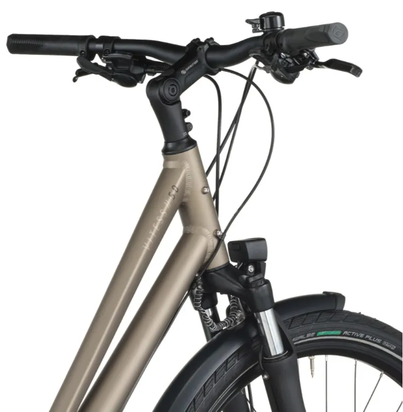 Bergamont Vitess 50 Hybrid in silver-1