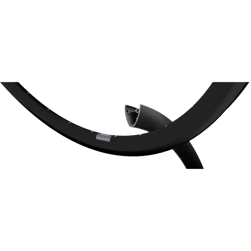 Ryde Dutch 19 Disc Rims 