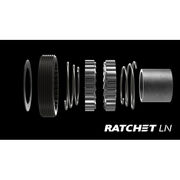 DT Swiss Ratchet LN conversion kit for 3-Pawl hubs, MTB, 18-tooth, MICRO SPLINE Hybrid St click to zoom image