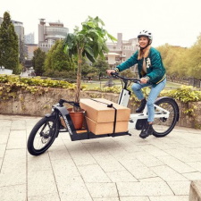 Electric Bikes E-Cargo